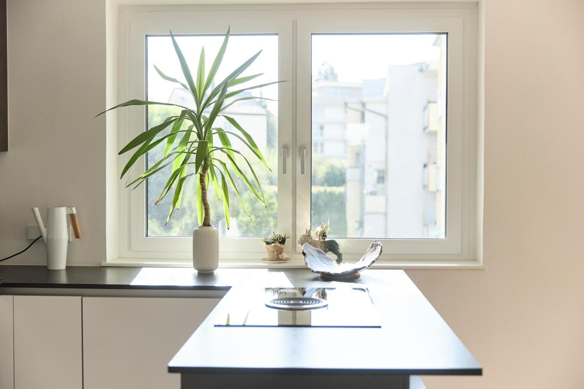 Helle Wohnung In Top Lage! Linec Exteriér fotografie